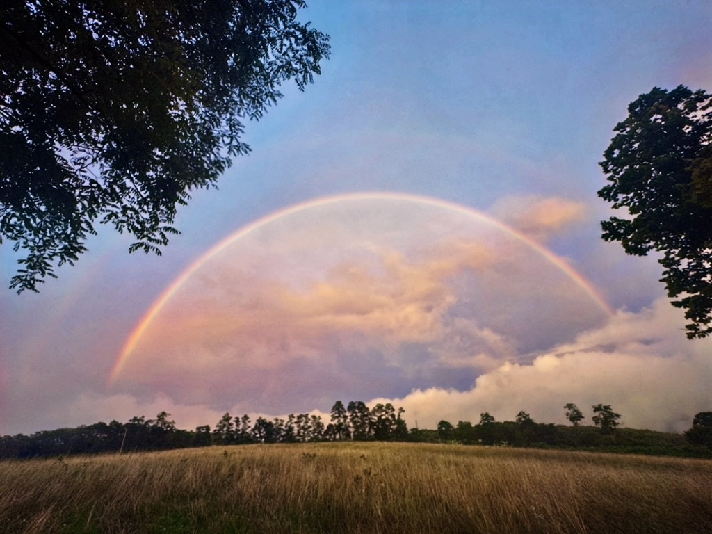 Rainbow above the meadow at dusk