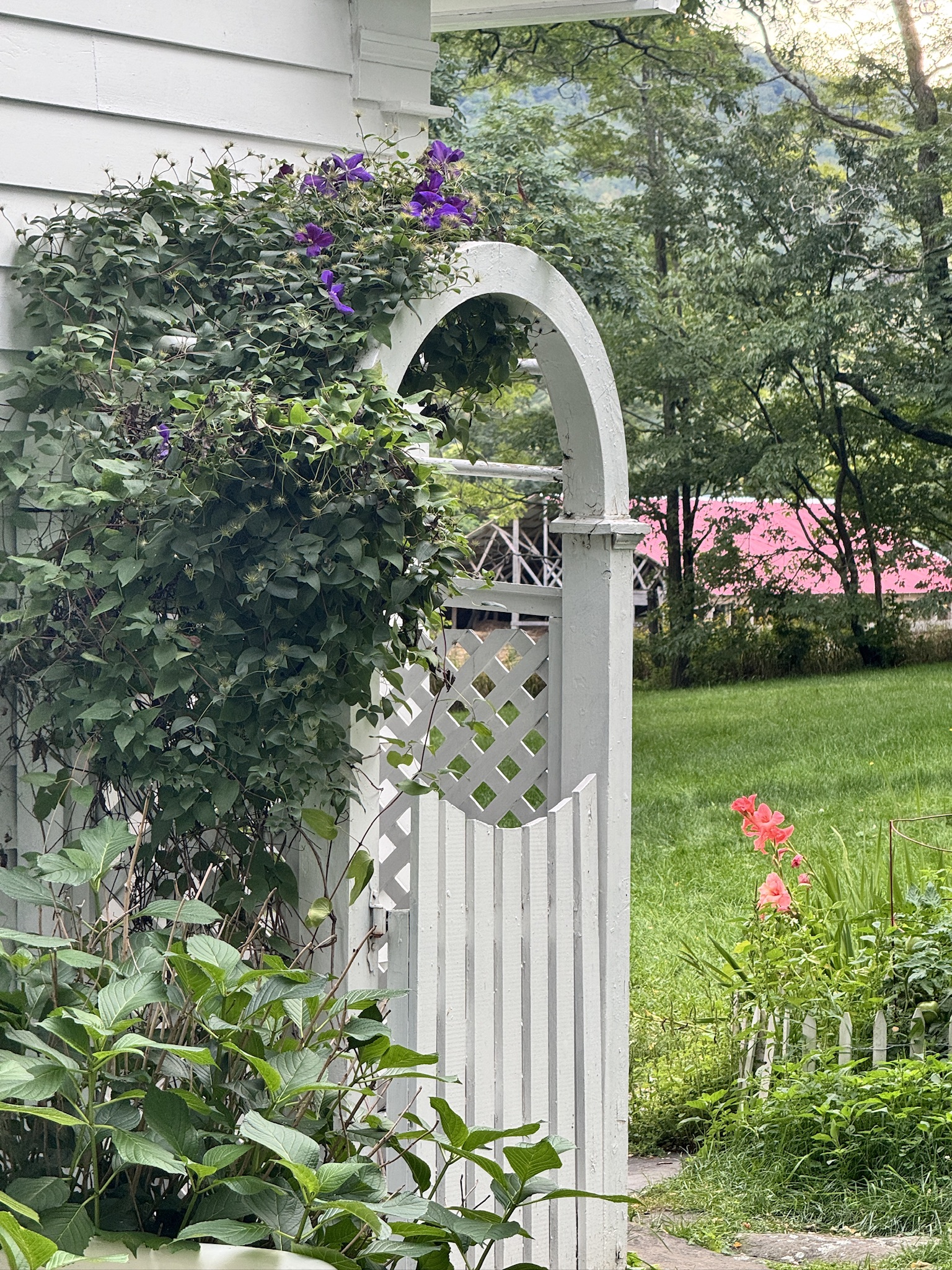 Flowering vines around the outdoor shower arch