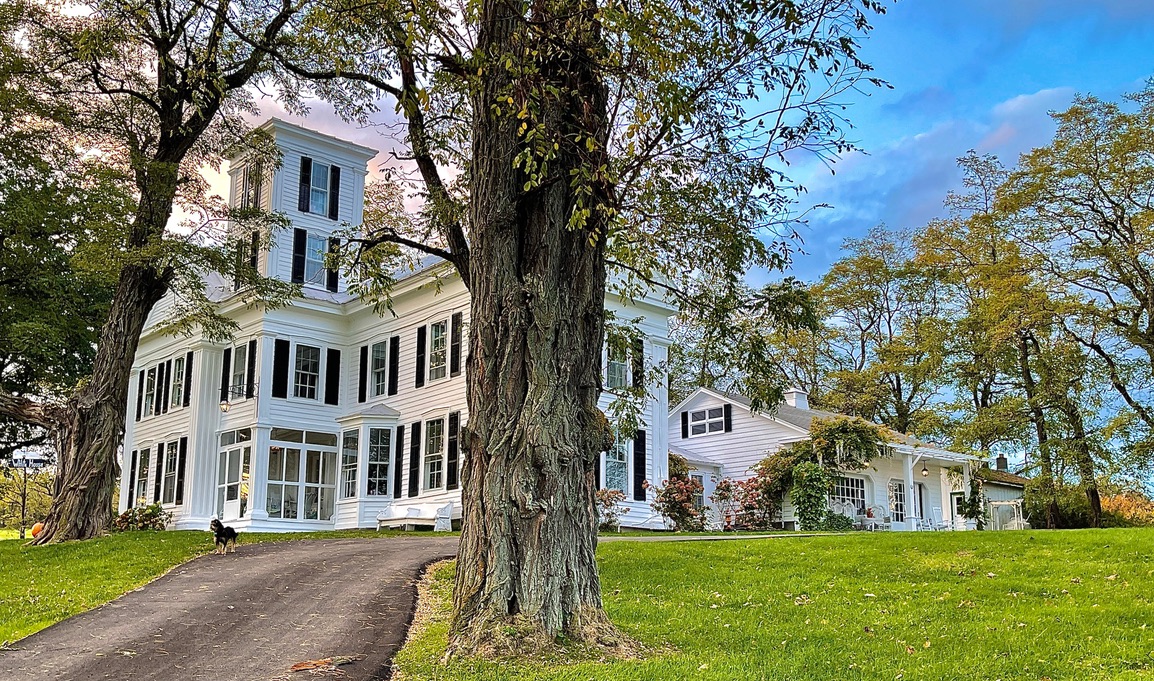 The house and lawn in autumn