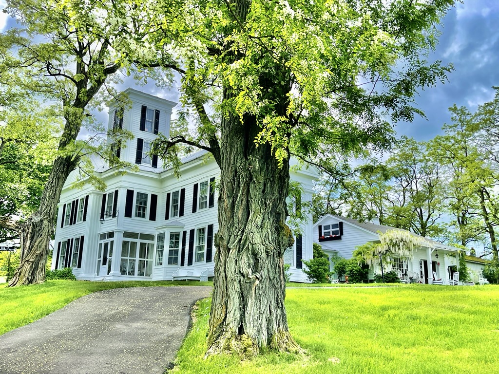 The house and driveway framed by leafy trees