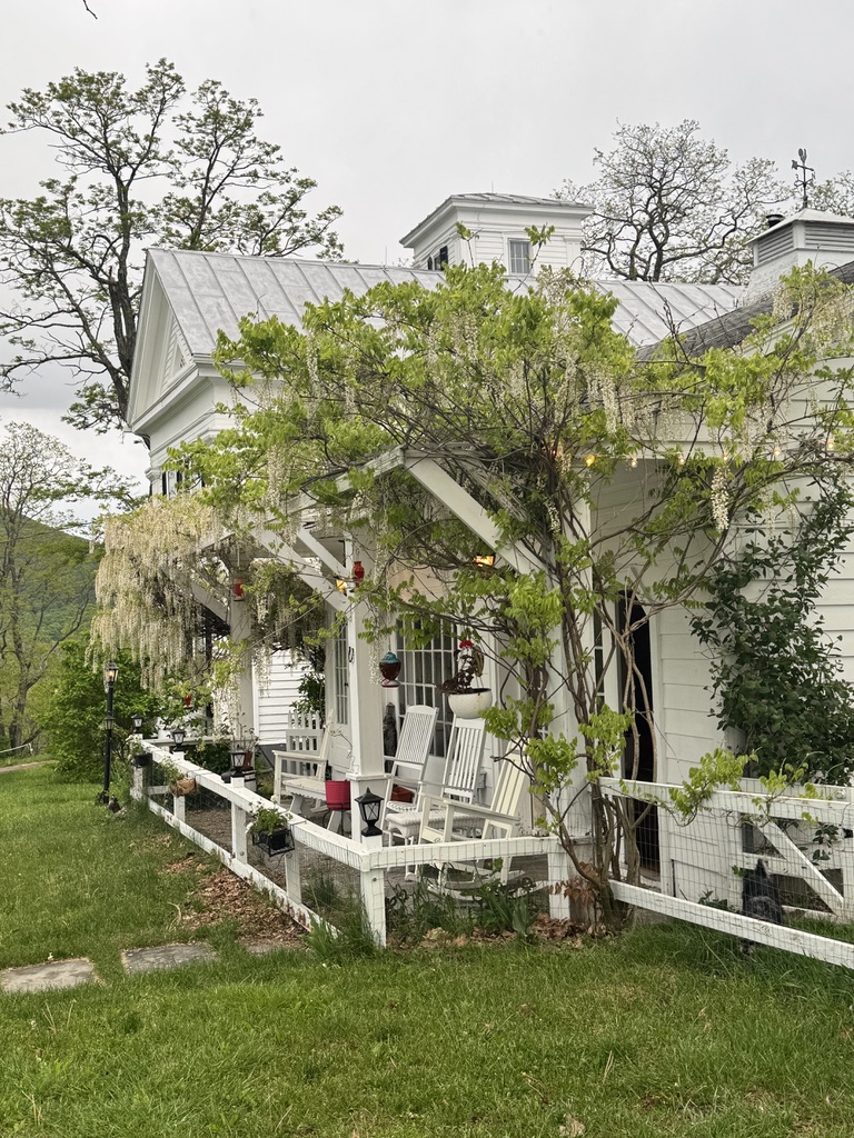 Wisteria and rocking chairs along the porch