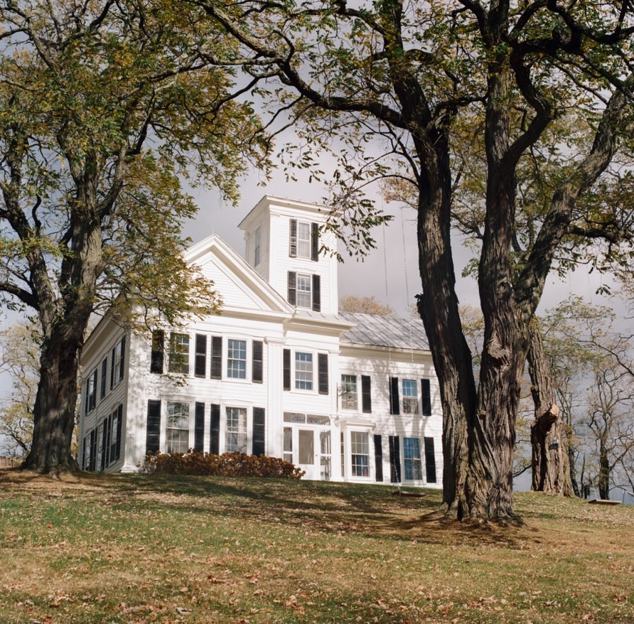 The house beneath mature trees