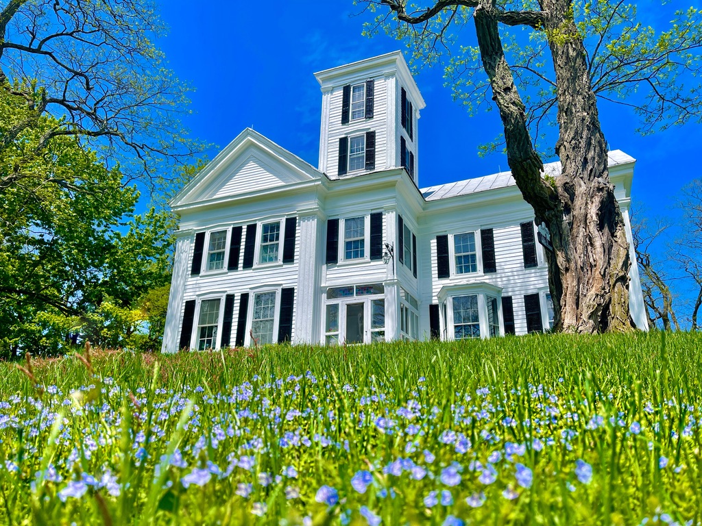 Durham White House beneath a blue sky with blue spring flowers on the lawn