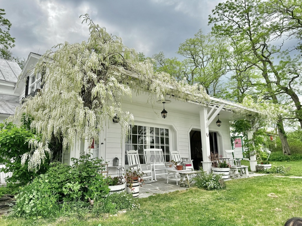 White wisteria and rocking chairs on the peaceful porch