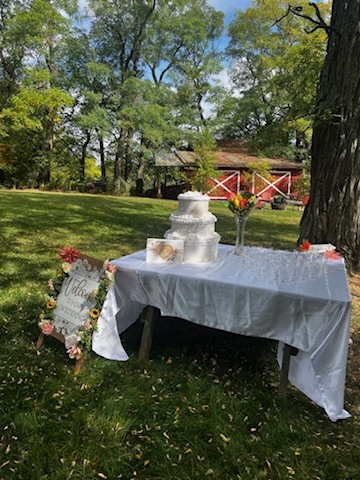 Wedding cake and glasses arranged outside