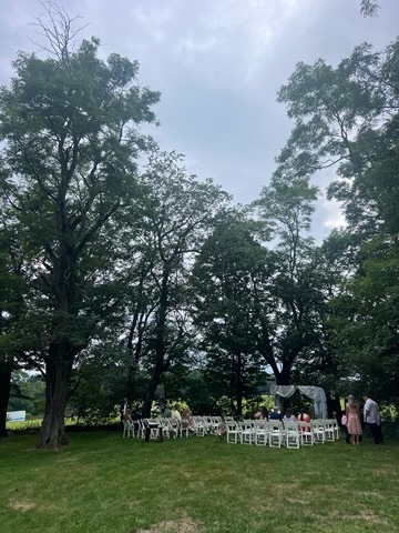 Outdoor ceremony chairs beneath the trees