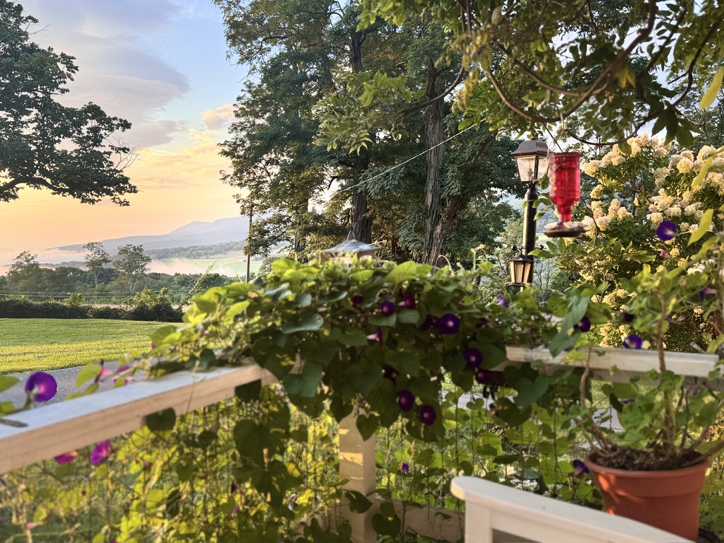 View toward the mountains from the flower-filled porch