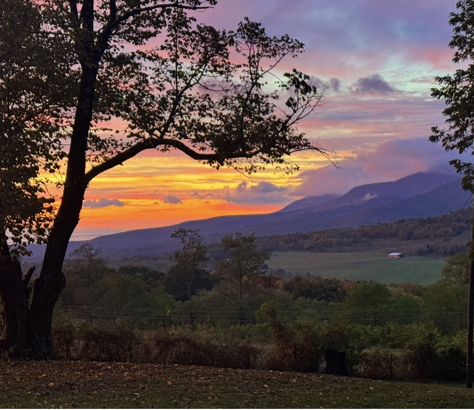 Sunset over the Catskill mountains, framed by trees